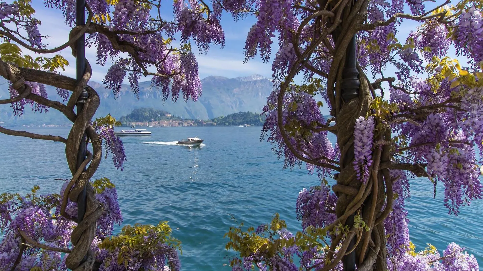 Residenza Menaggio - Mimosa Lejlighed